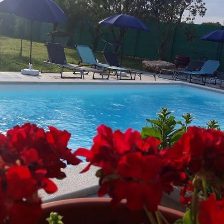 Holiday Home Dioniza Vodnjan Extérieur photo