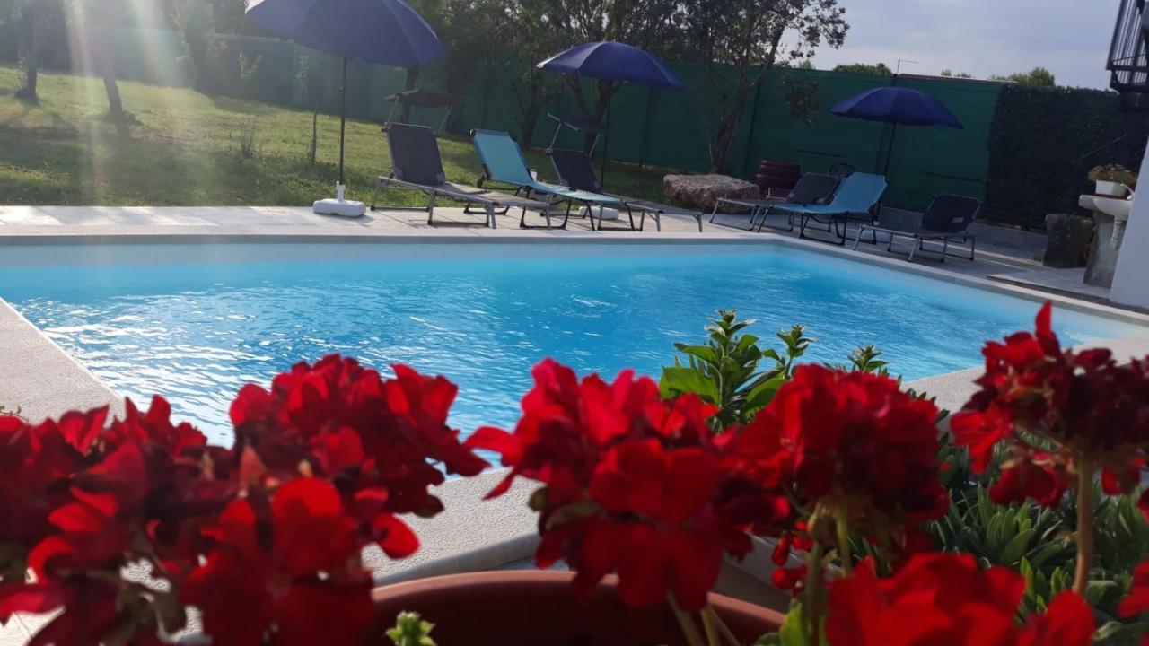 Holiday Home Dioniza Vodnjan Extérieur photo