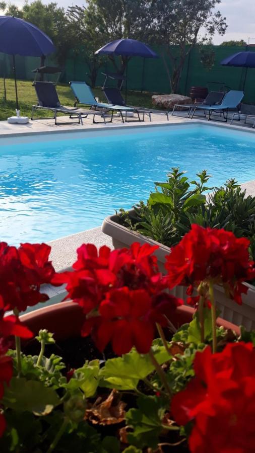 Holiday Home Dioniza Vodnjan Extérieur photo